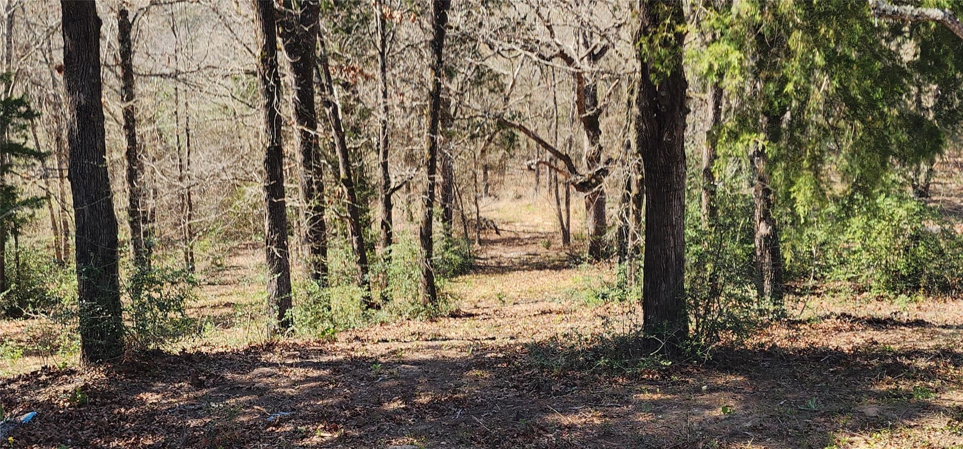 10 acres in Henderson County - photo 4