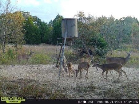 10 acres in Henderson County - photo 27