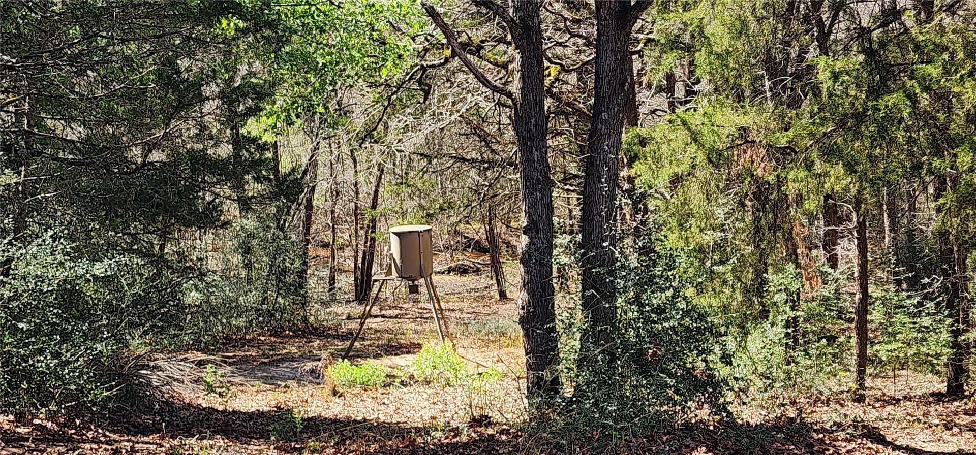 10 acres in Henderson County - photo 2
