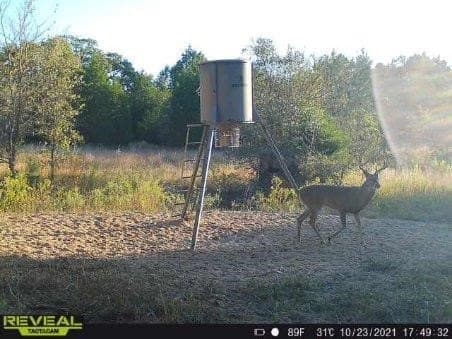10 acres in Henderson County - photo 29