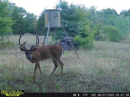 10 acres in Henderson County - photo 33