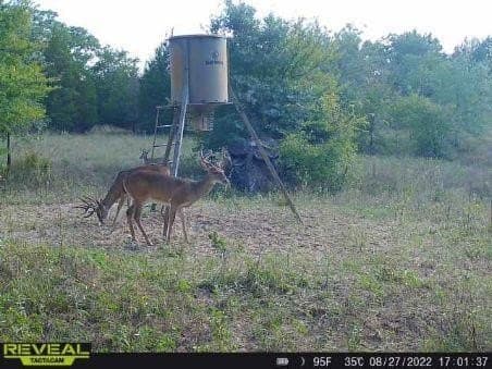 10 acres in Henderson County - photo 34