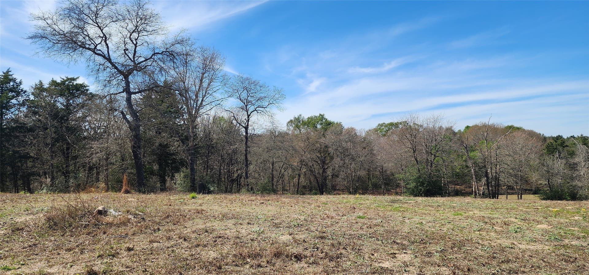 10 acres in Henderson County - photo 19