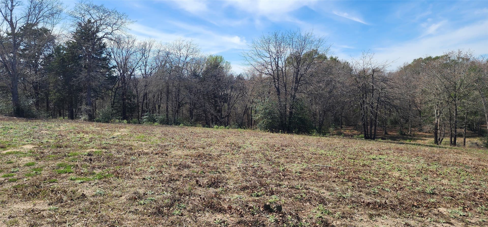 10 acres in Henderson County - photo 11