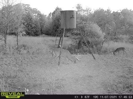 10 acres in Henderson County - photo 31