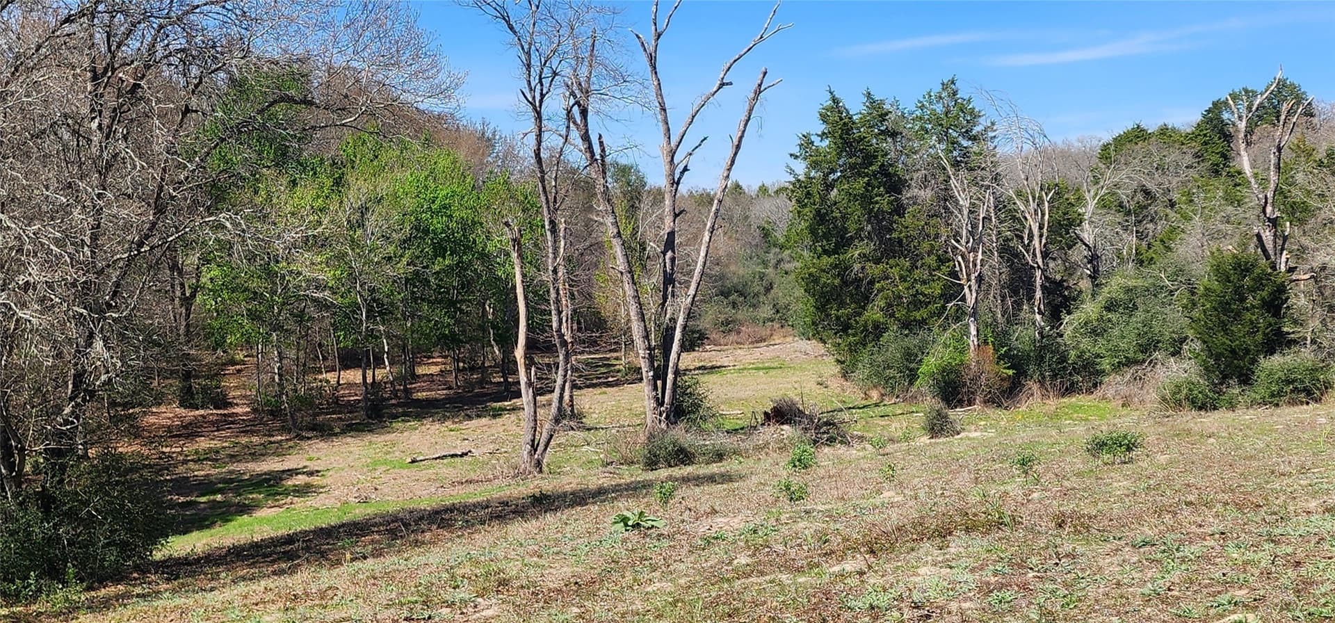 10 acres in Henderson County - photo 6