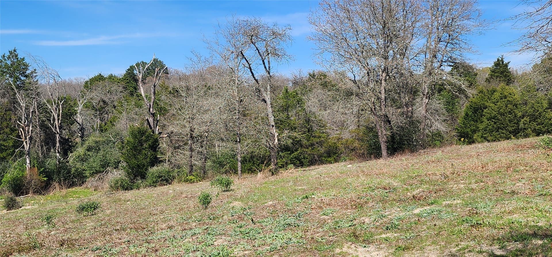 10 acres in Henderson County - photo 7
