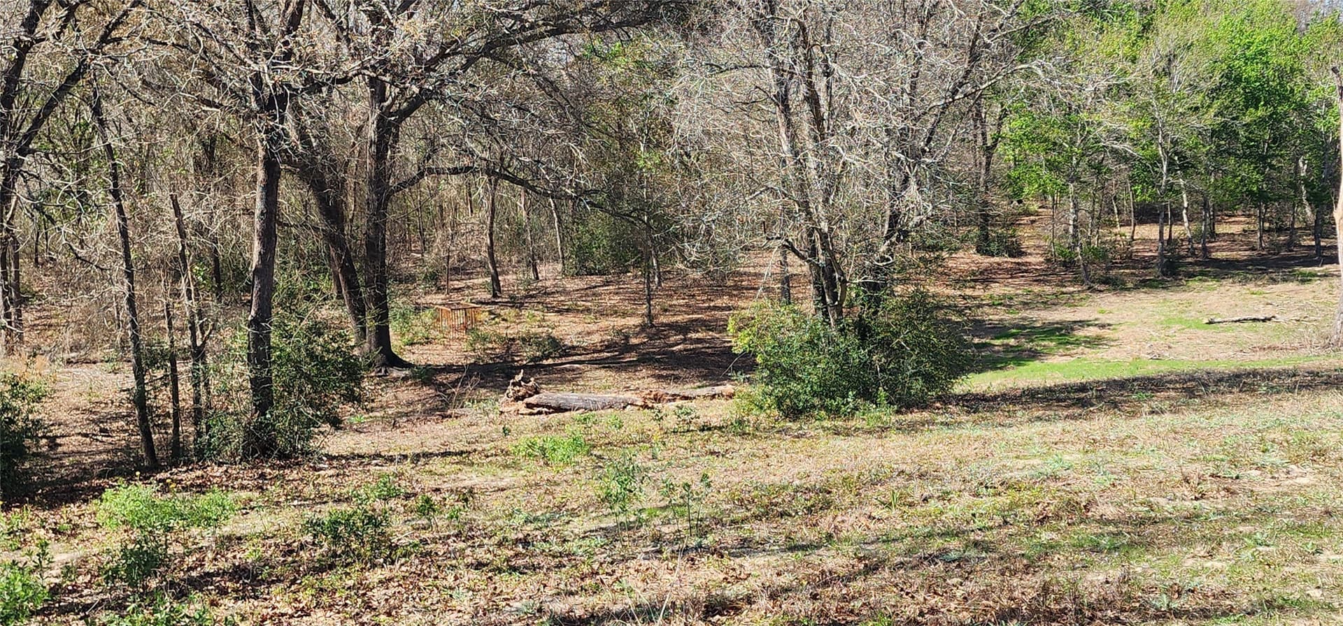 10 acres in Henderson County - photo 5
