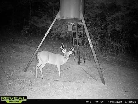 10 acres in Henderson County - photo 30