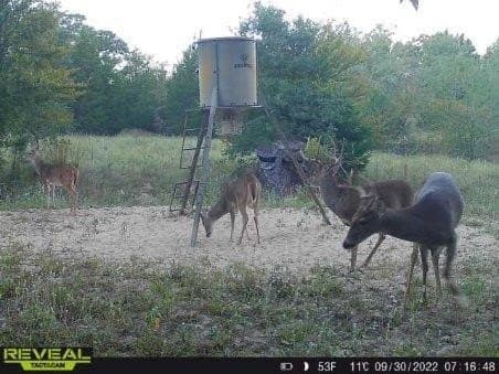 10 acres in Henderson County - photo 35