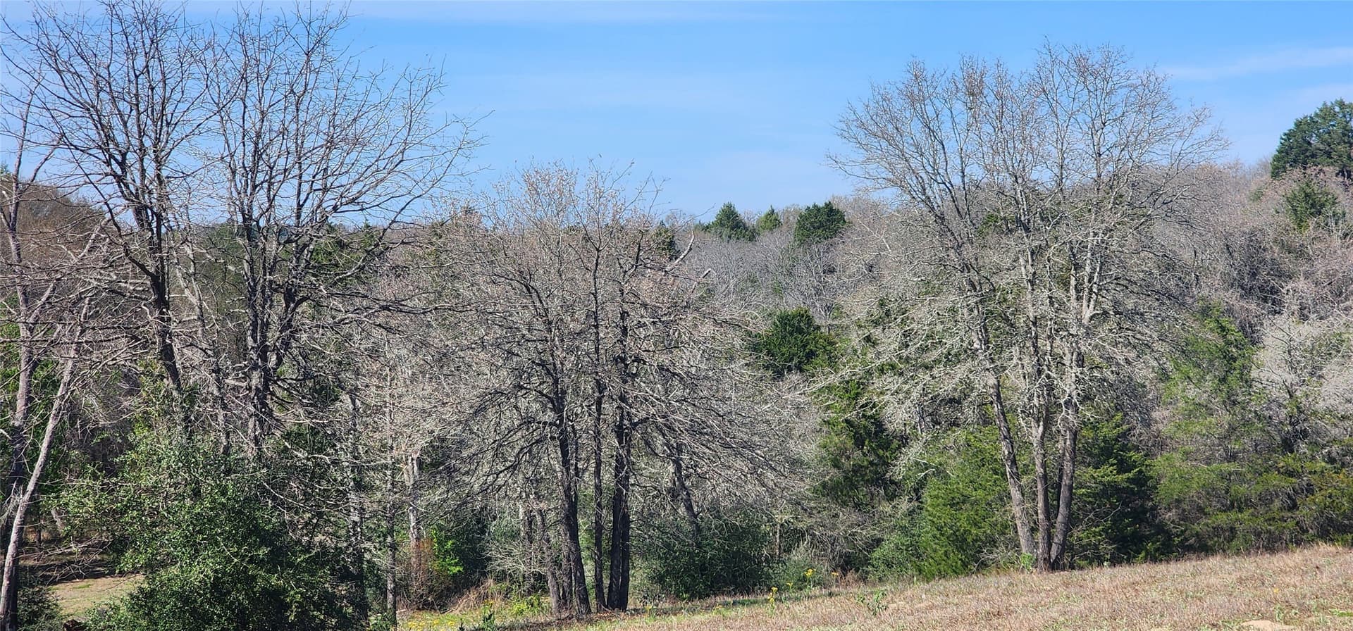 10 acres in Henderson County - photo 17