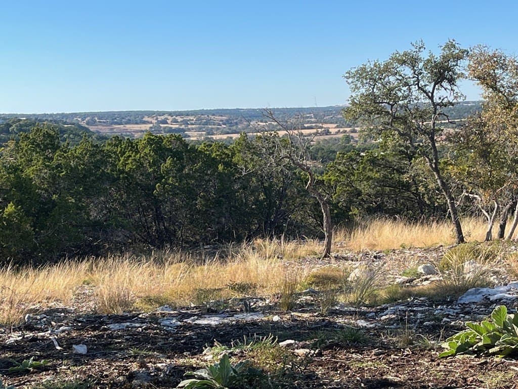 10.02 acres in Gillespie County gallery image 3
