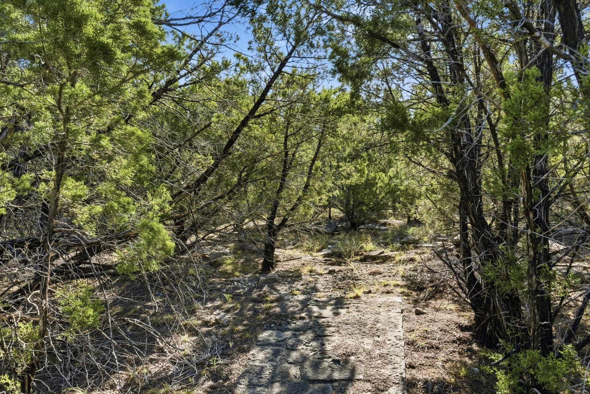 2.03 acres in Hood County - photo 18