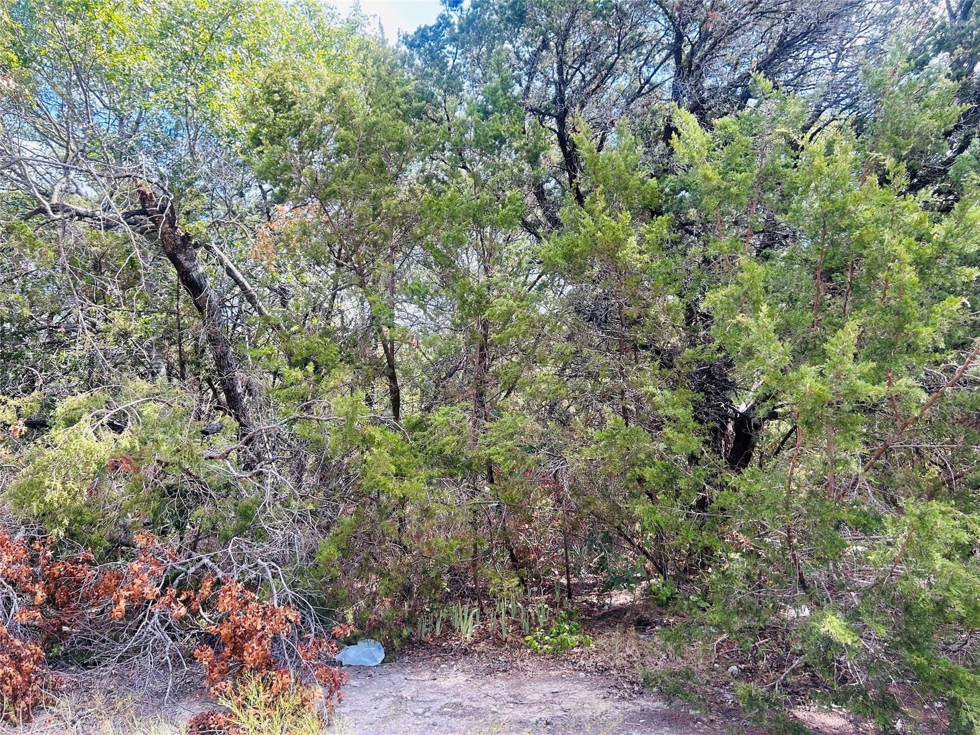 0 acres in Hill County - photo 2