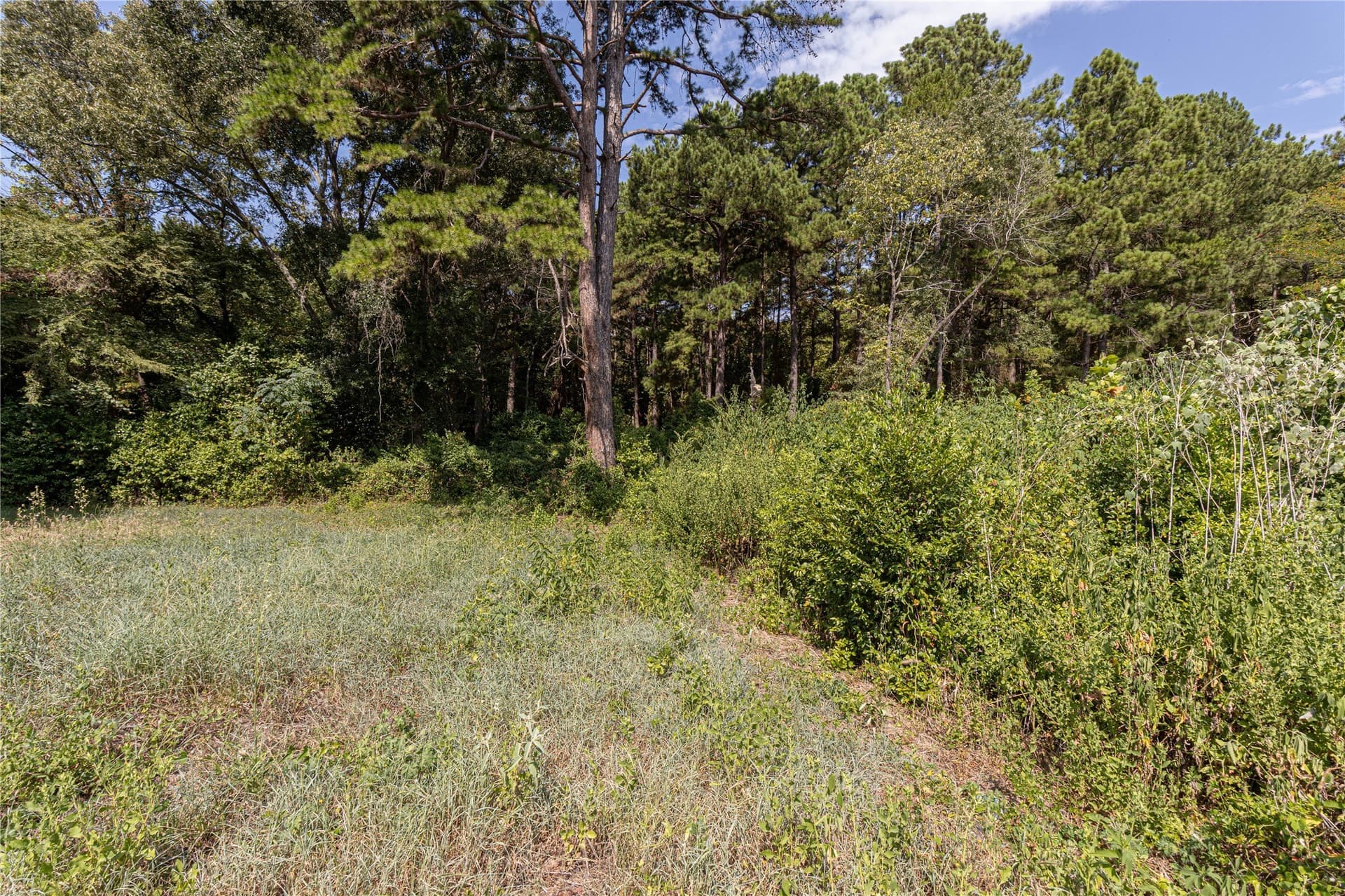 0.15 acres in Henderson County - photo 4