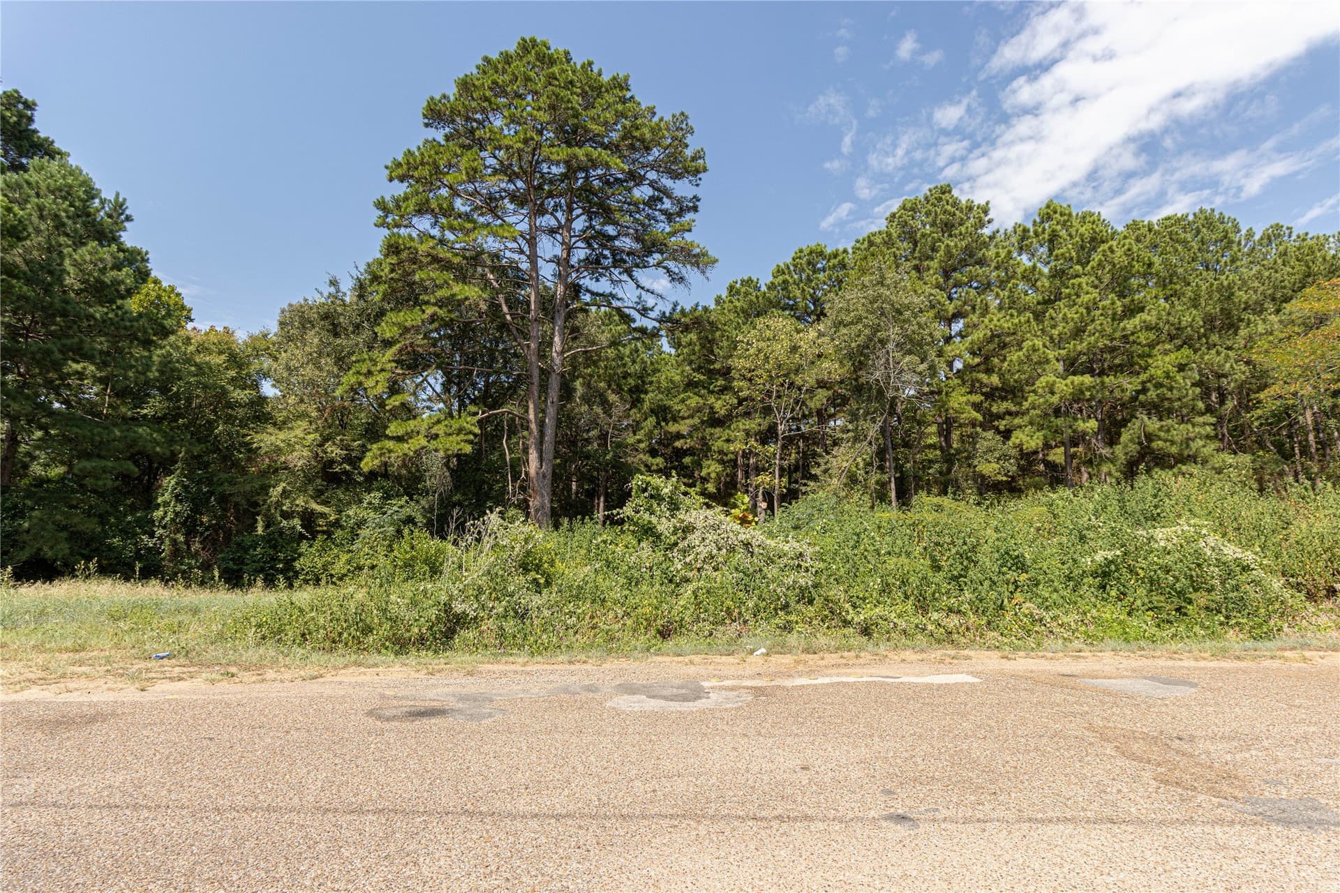 0.15 acres in Henderson County - photo 3