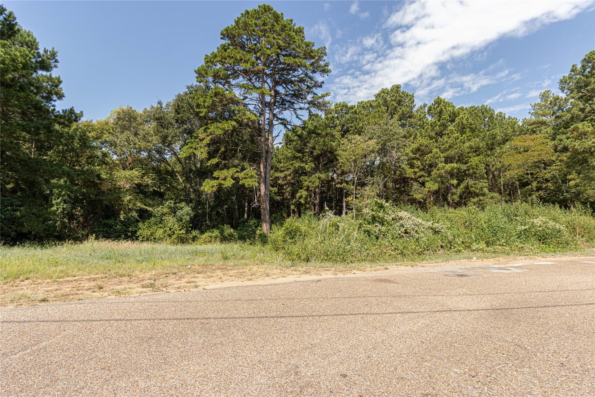 0.15 acres in Henderson County - photo 2