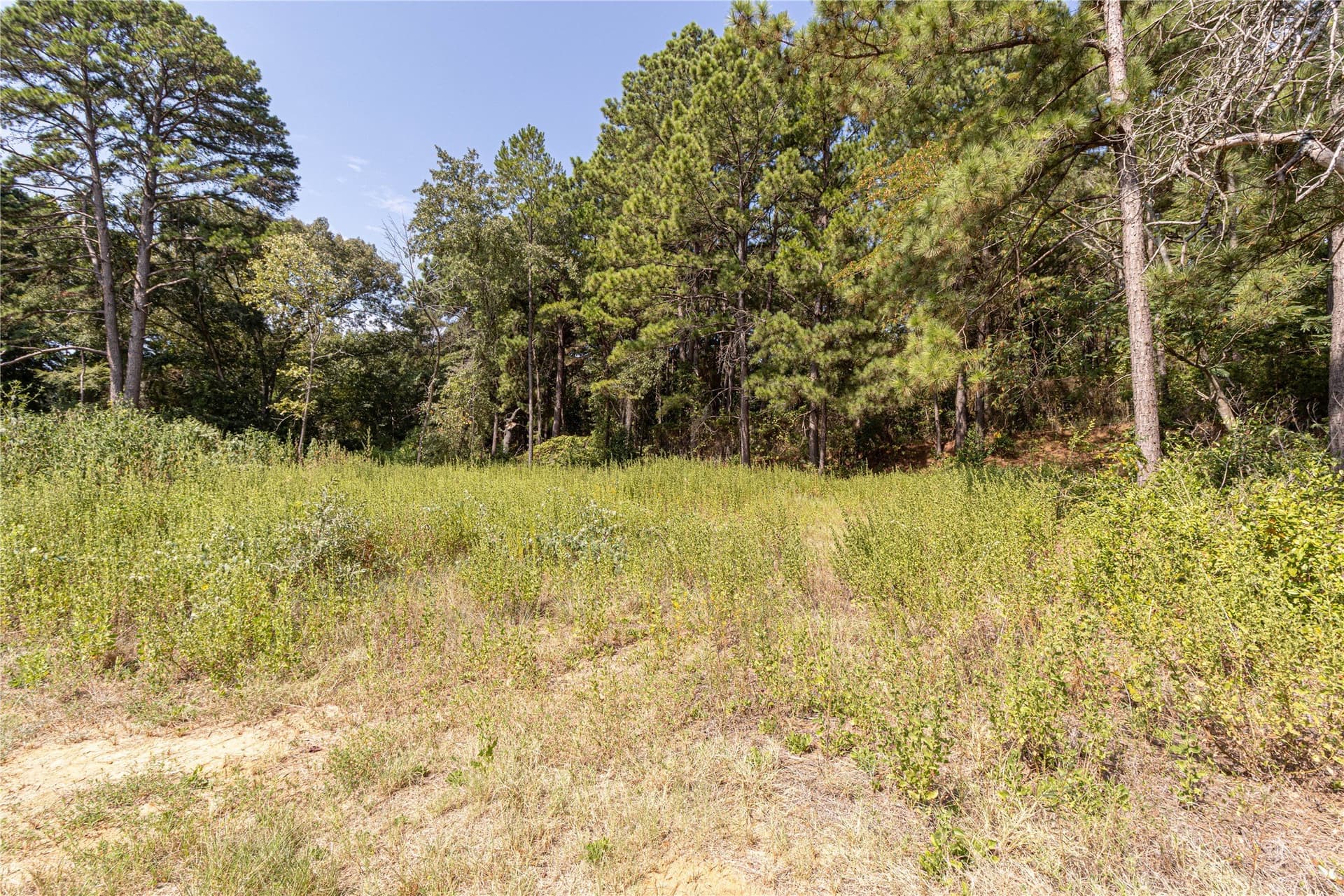 0.15 acres in Henderson County - photo 5