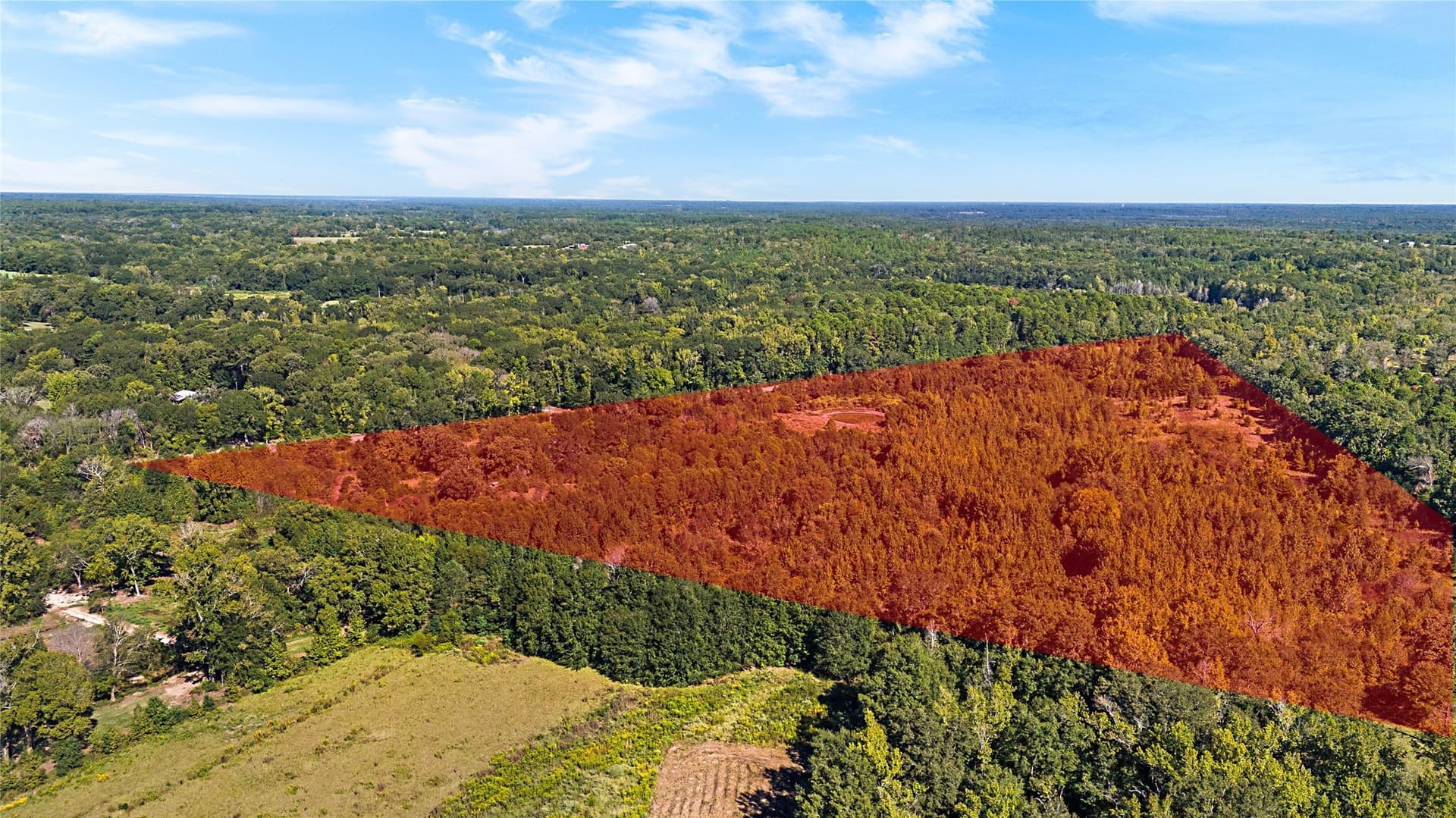 40.48 acres in Wood County - photo 4