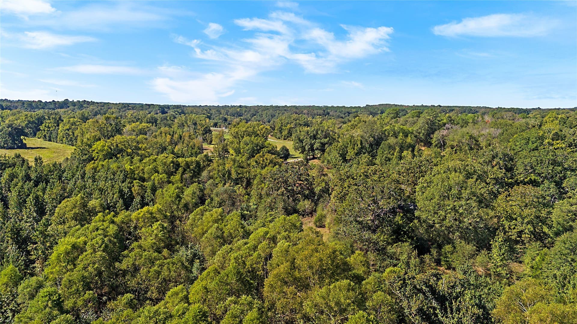 40.48 acres in Wood County - photo 23