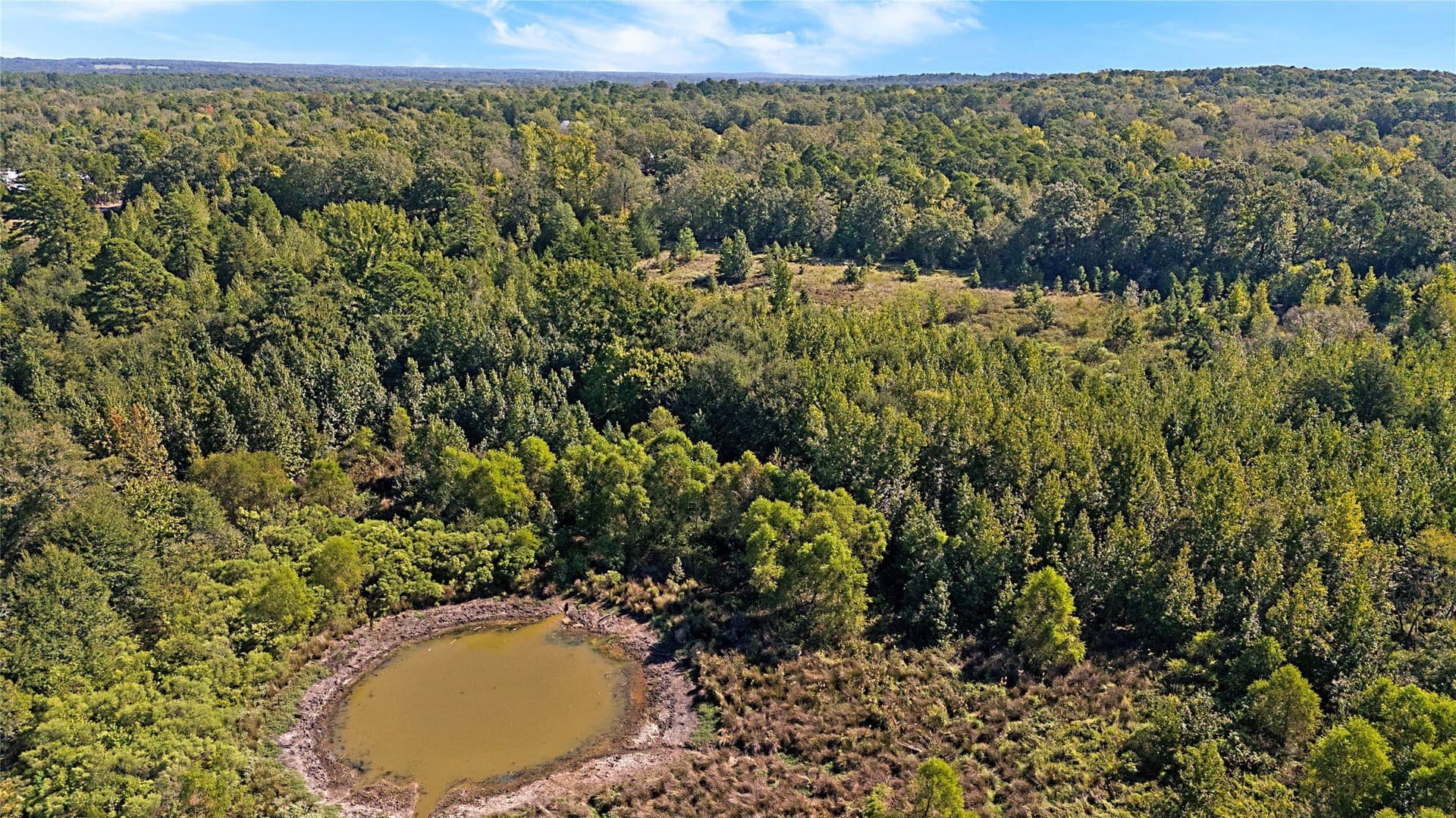 40.48 acres in Wood County - photo 11