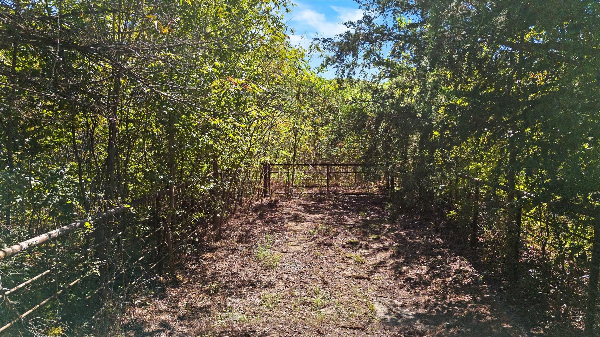 40.48 acres in Wood County - photo 9
