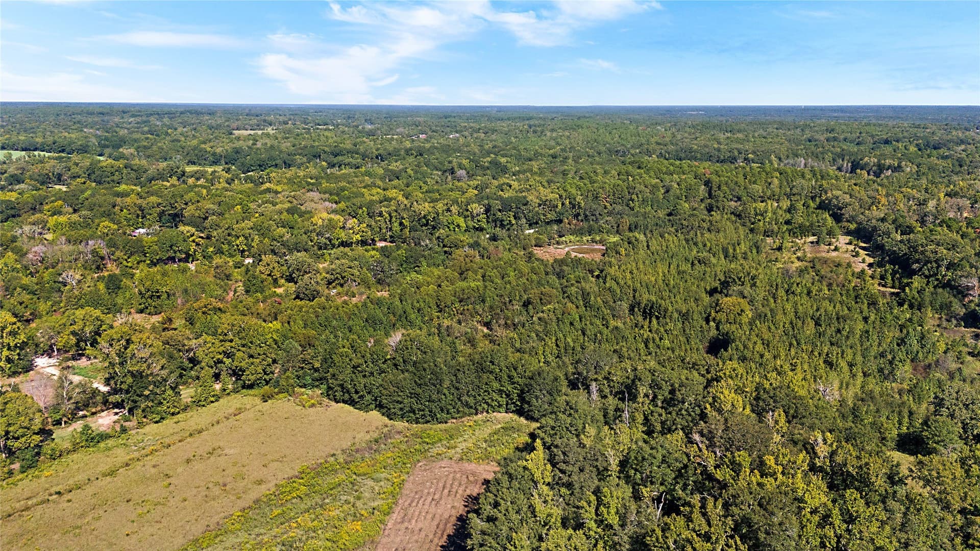 40.48 acres in Wood County - photo 17