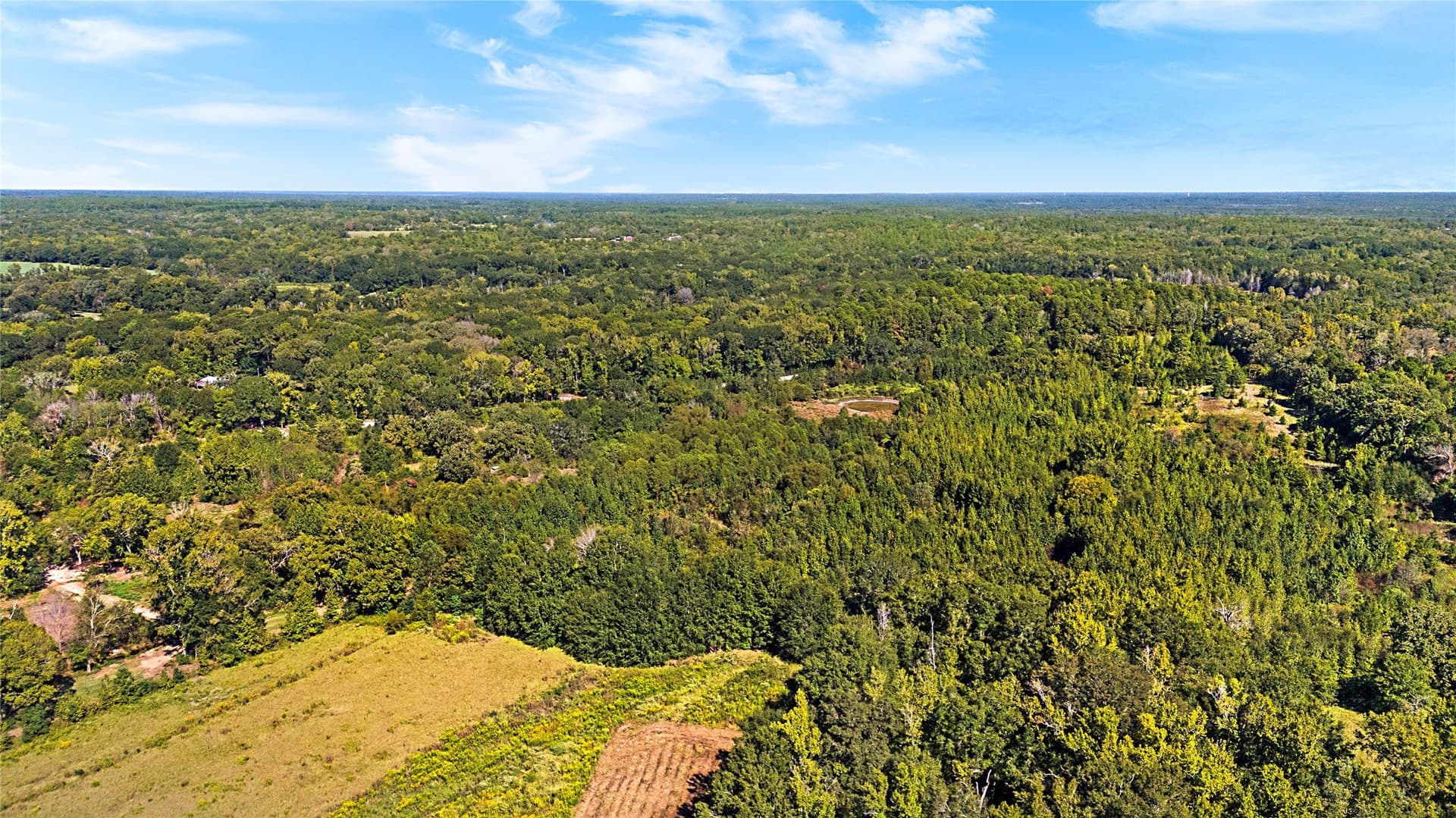 40.48 acres in Wood County - photo 21