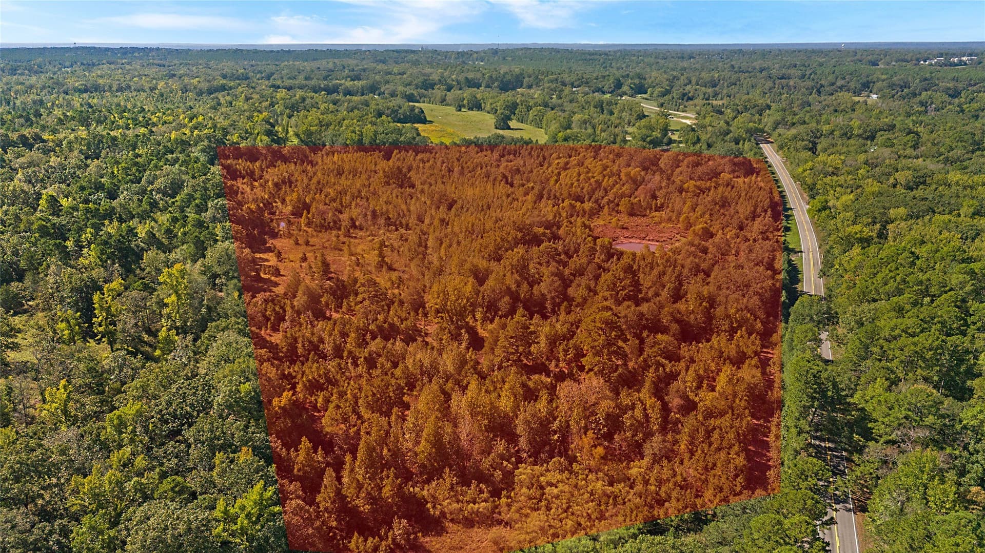 40.48 acres in Wood County - photo 6