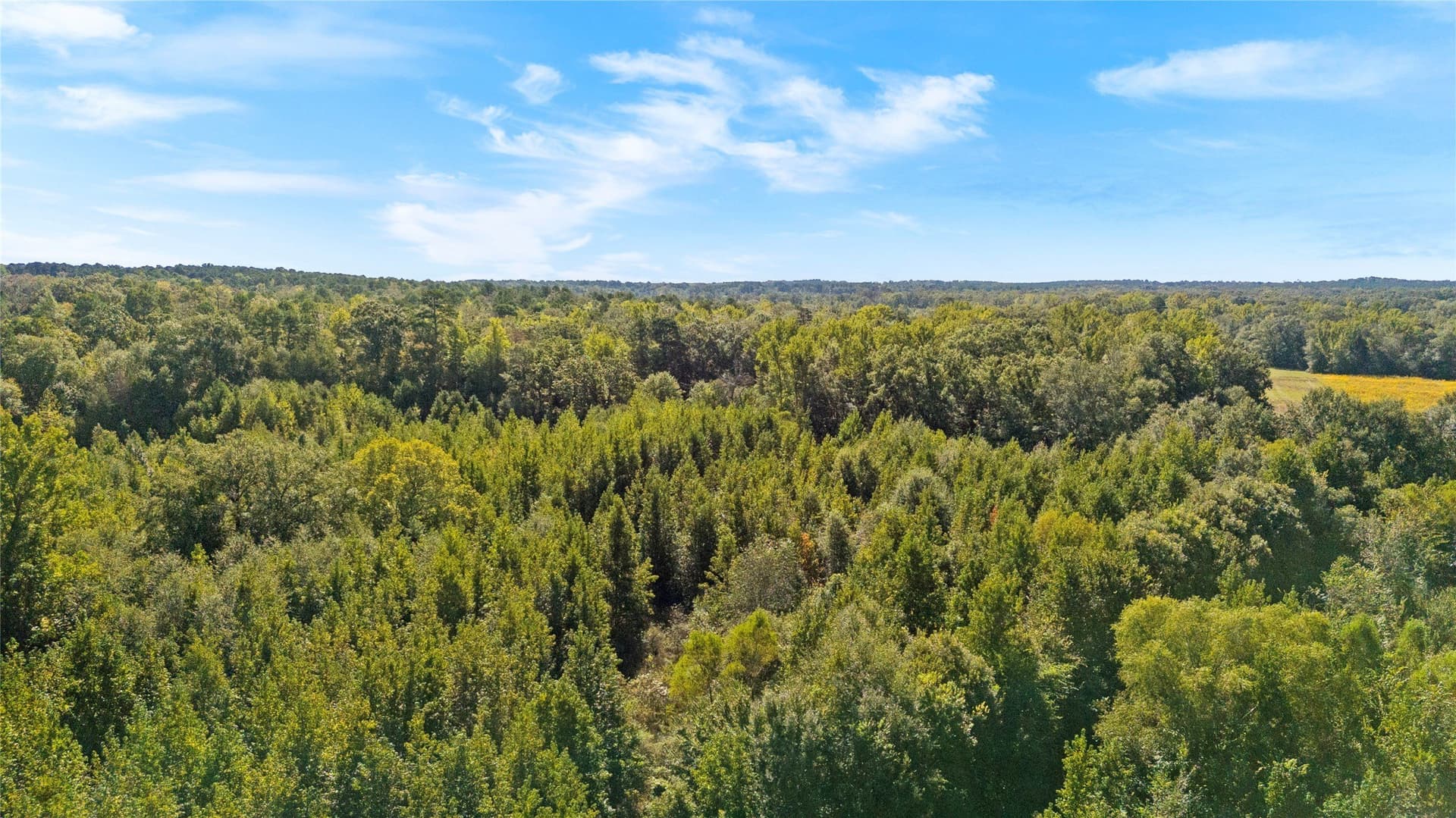 40.48 acres in Wood County - photo 25