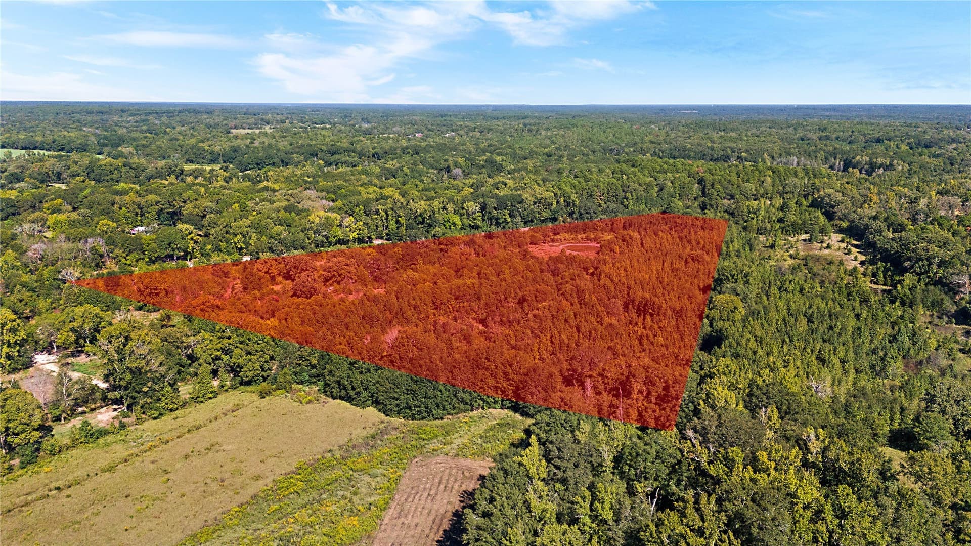 40.48 acres in Wood County - photo 5