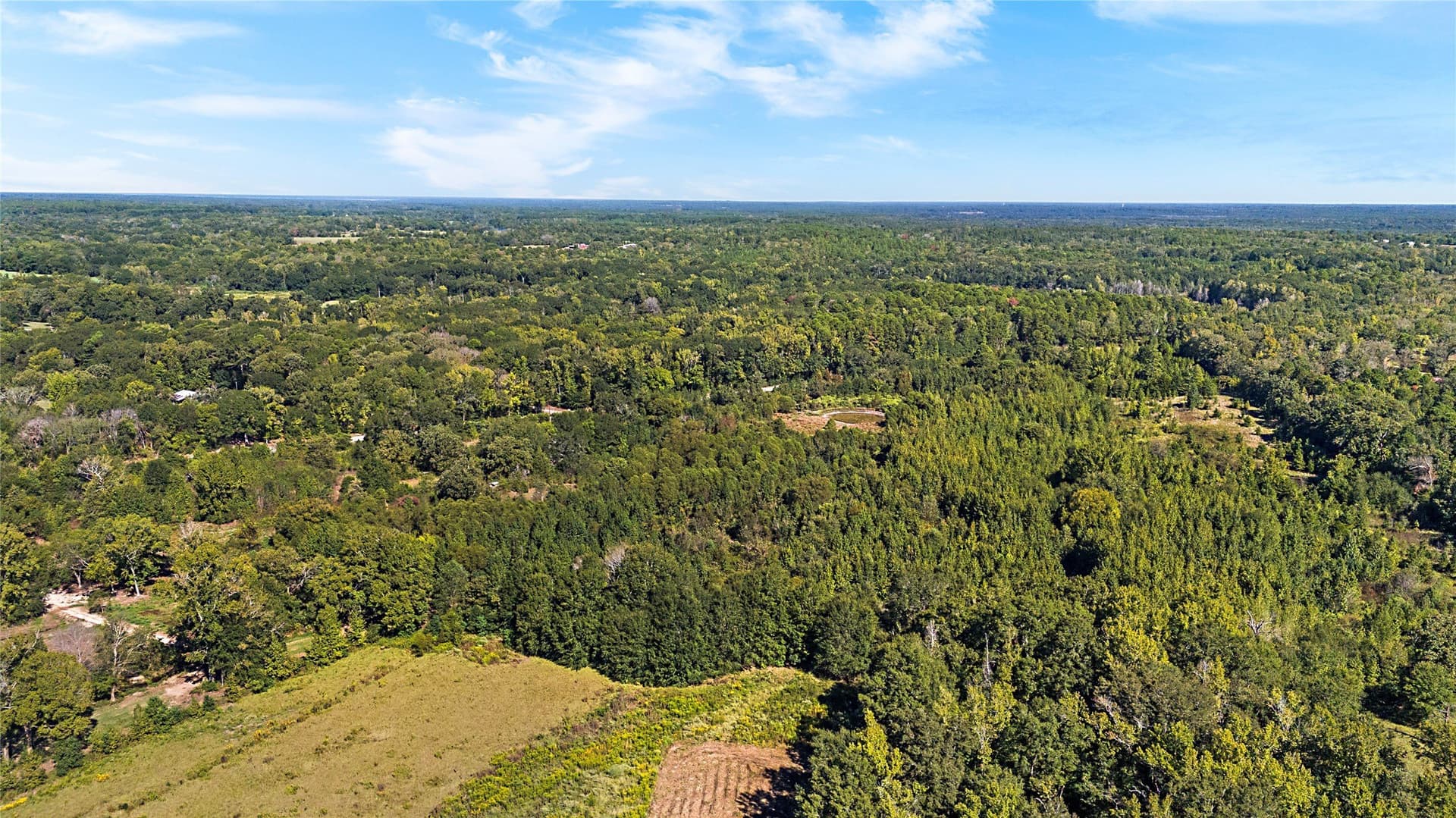 40.48 acres in Wood County - photo 22