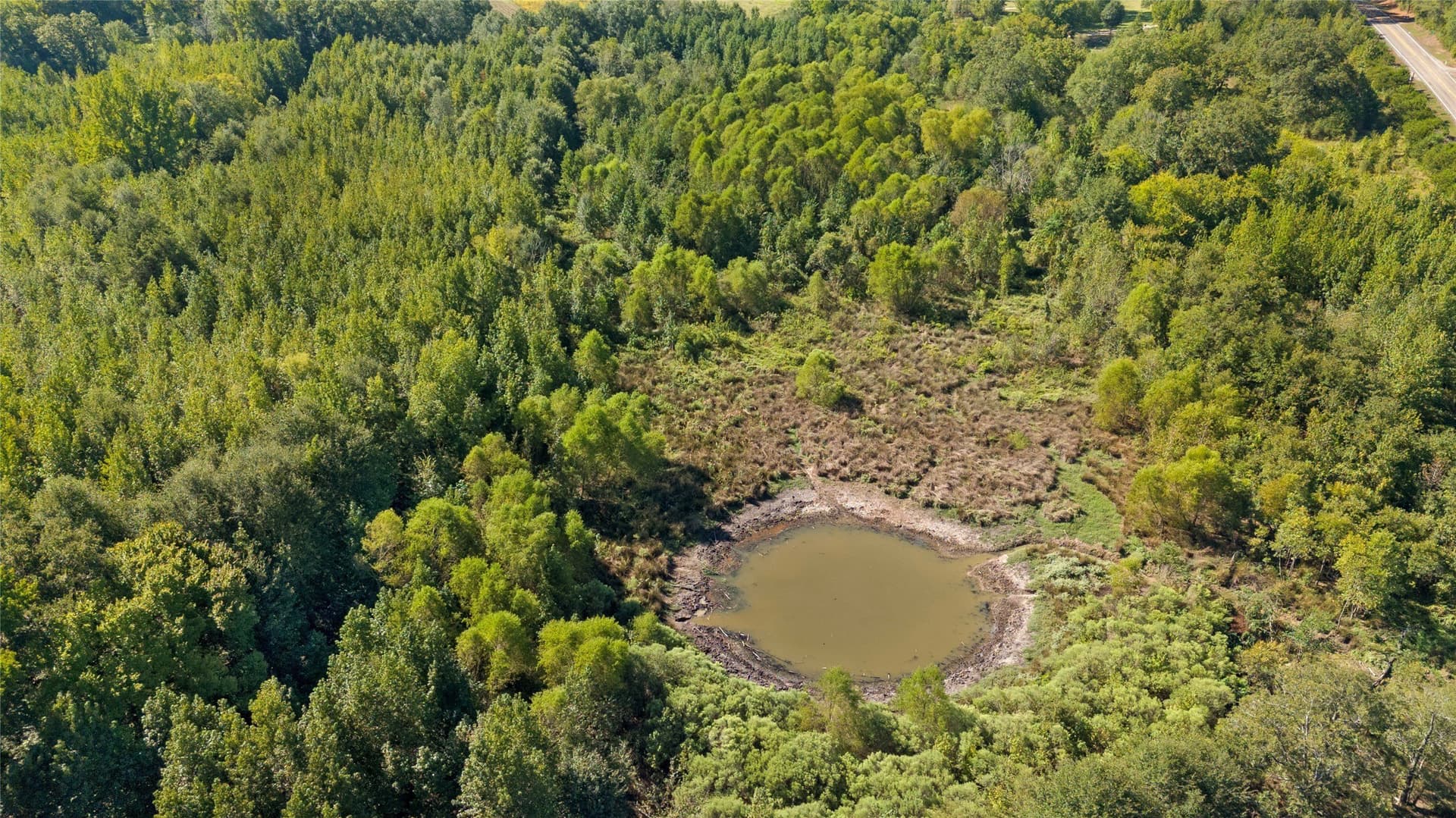 40.48 acres in Wood County - photo 12