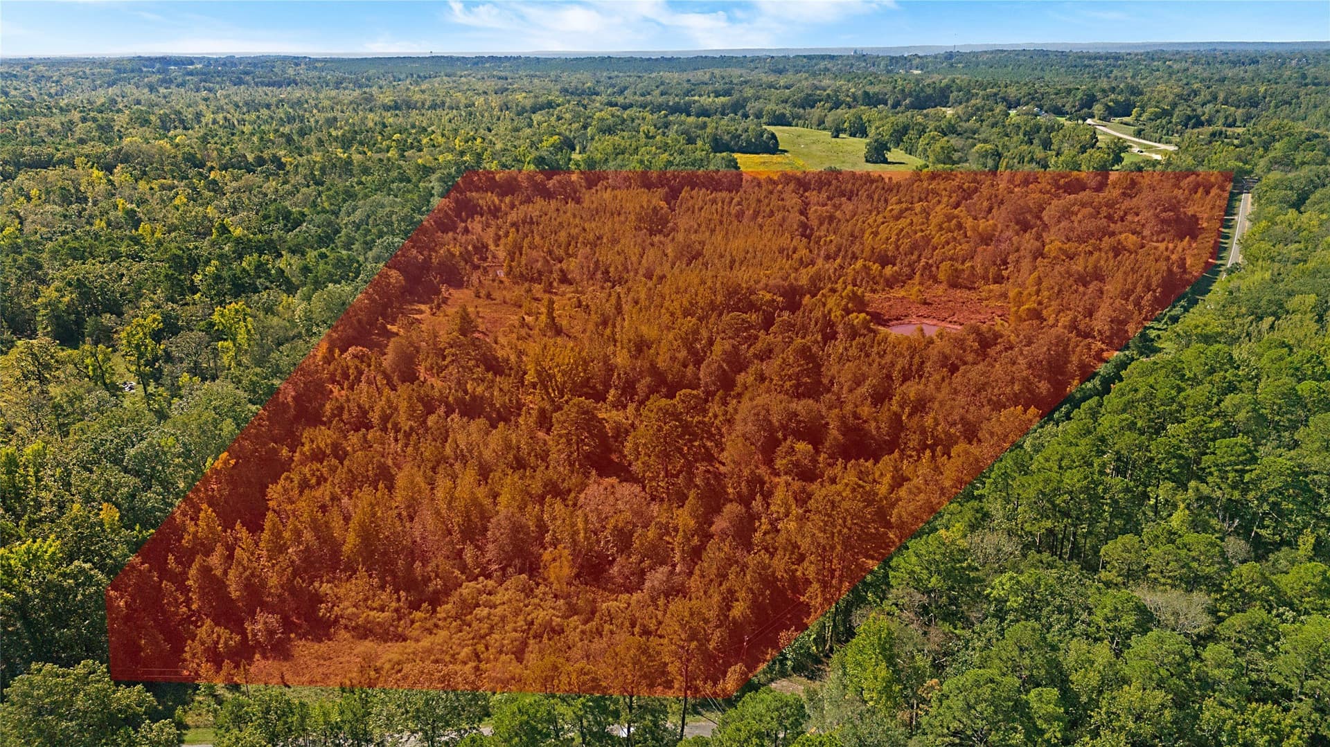 40.48 acres in Wood County - photo 8