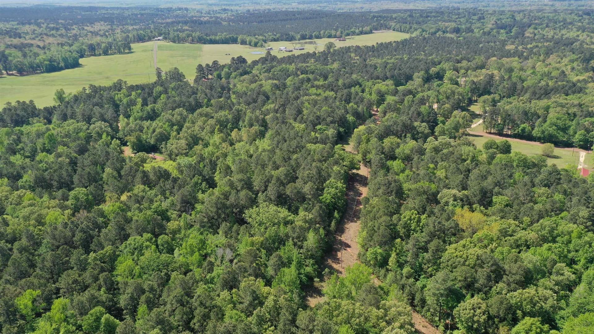 16.55 acres in Upshur County - photo 13