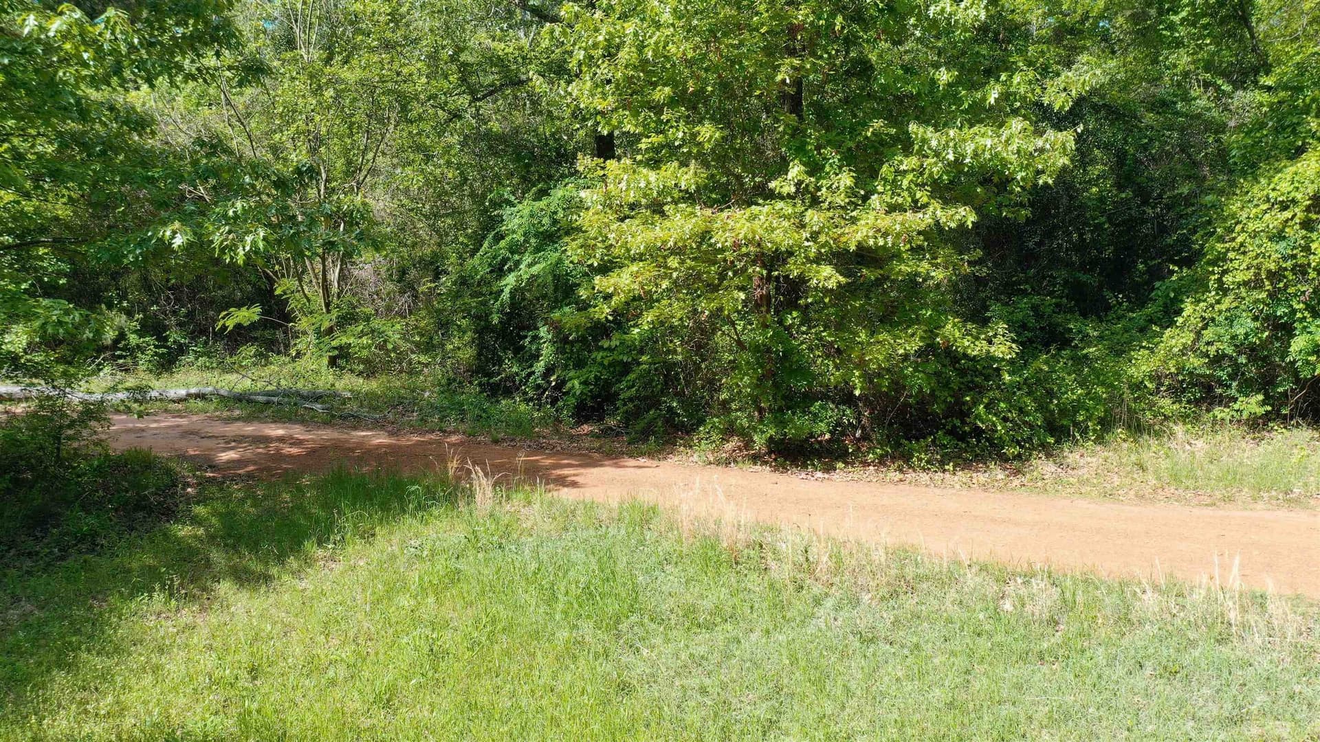 16.55 acres in Upshur County - photo 9