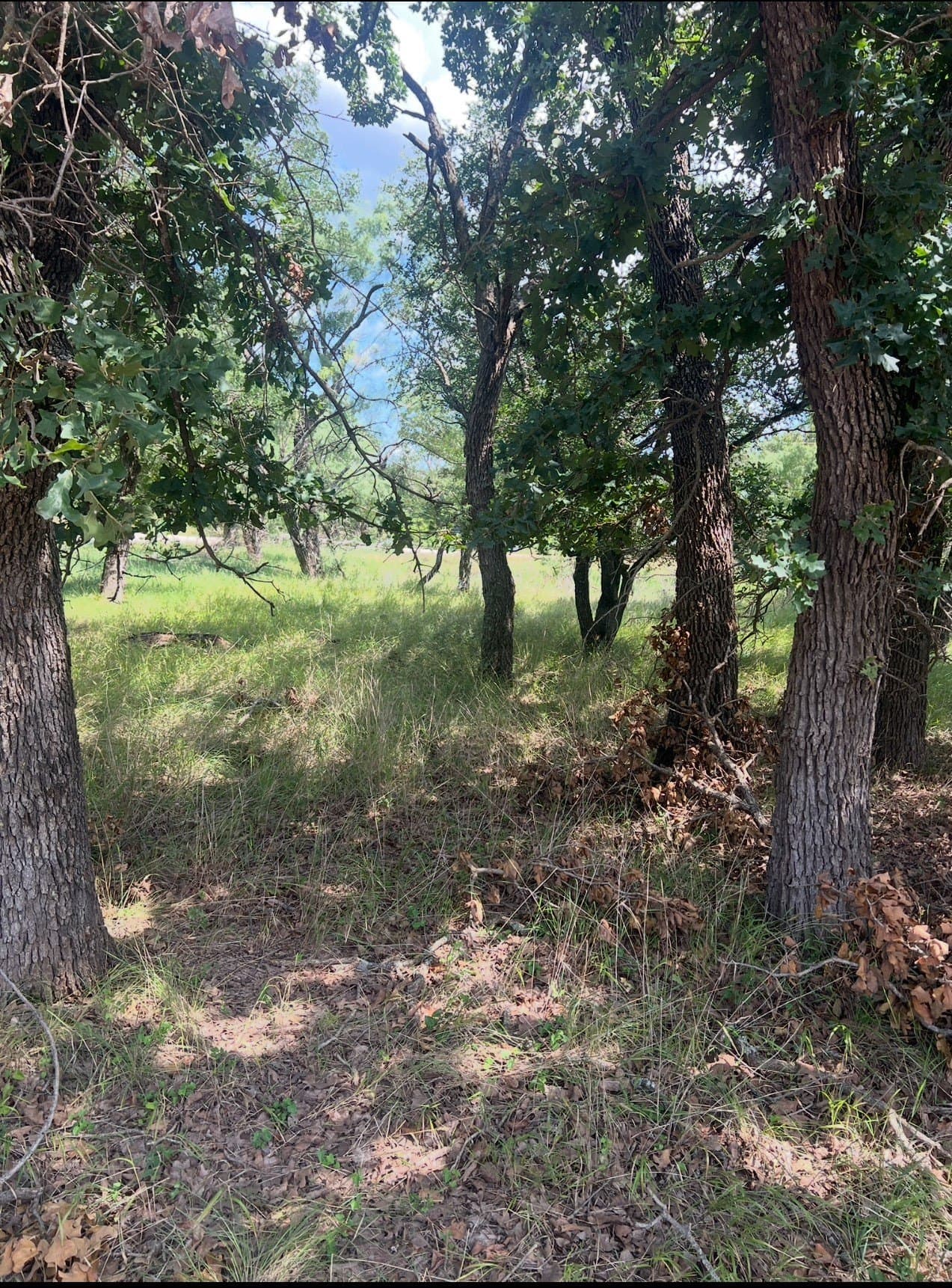 0.05 acres in Brown County gallery image 2