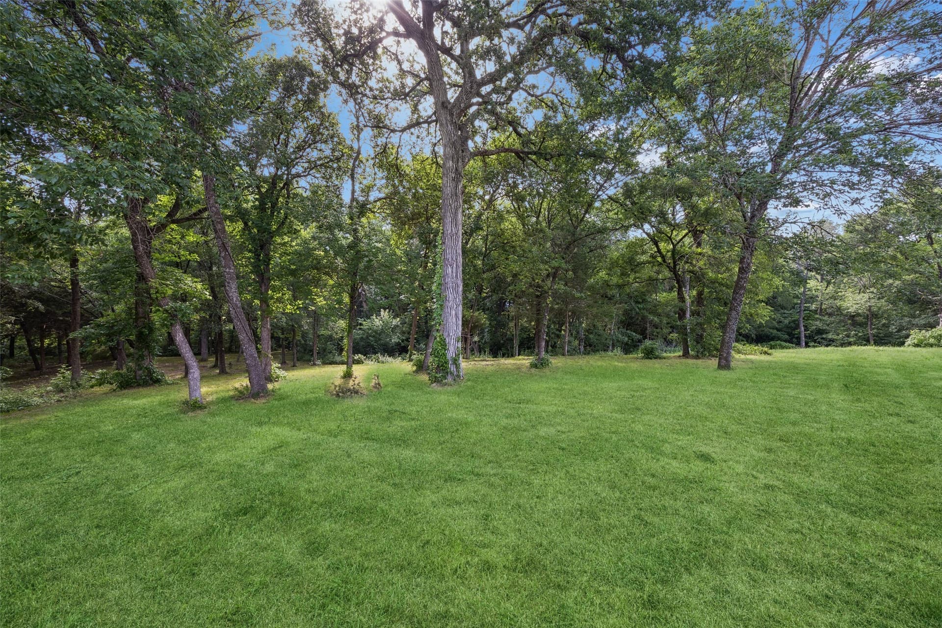 1 acres in Ellis County featured view