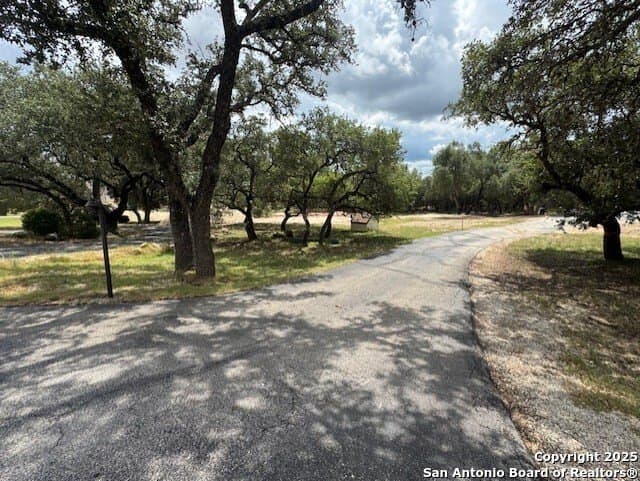 1.01 acres in Comal County gallery image 3