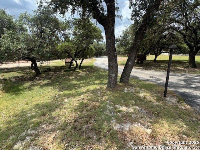 1.01 acres in Comal County gallery image 4
