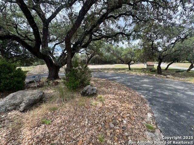 1.01 acres in Comal County gallery image 2