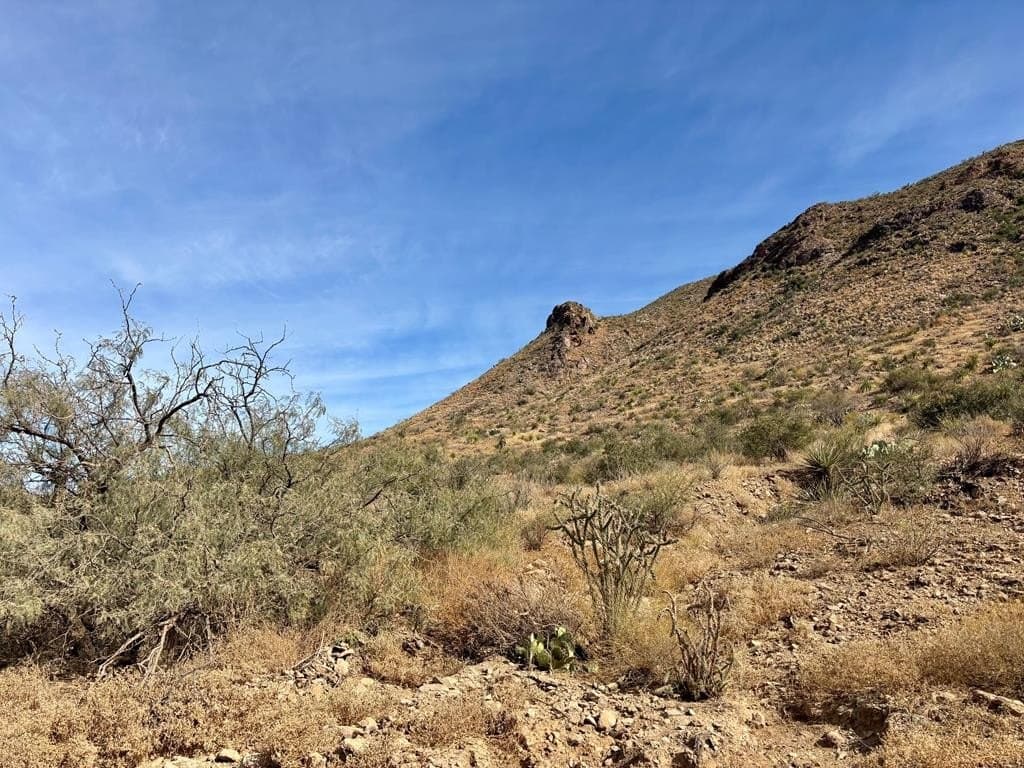 67.5 acres in Brewster County - photo 33