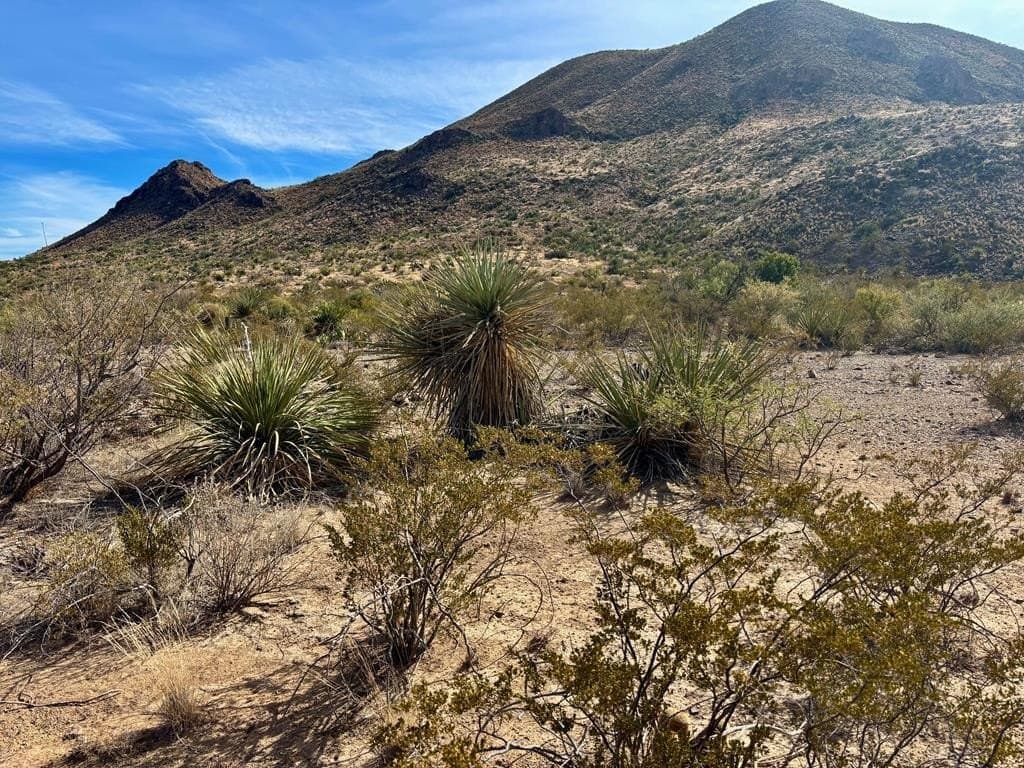 67.5 acres in Brewster County