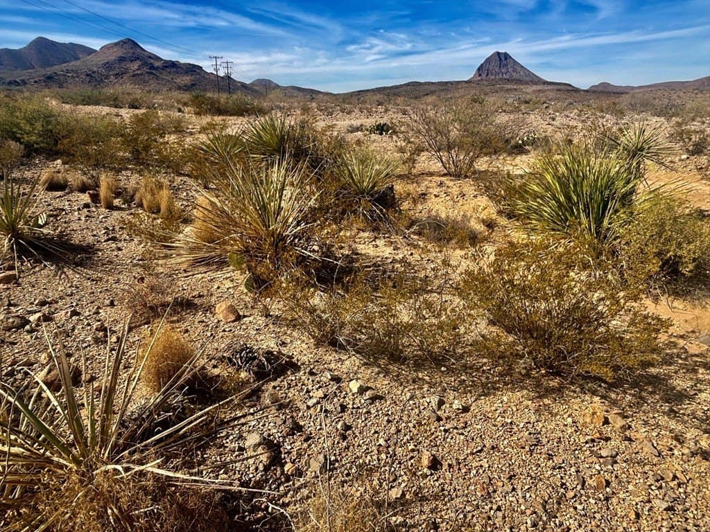 67.5 acres in Brewster County - photo 7