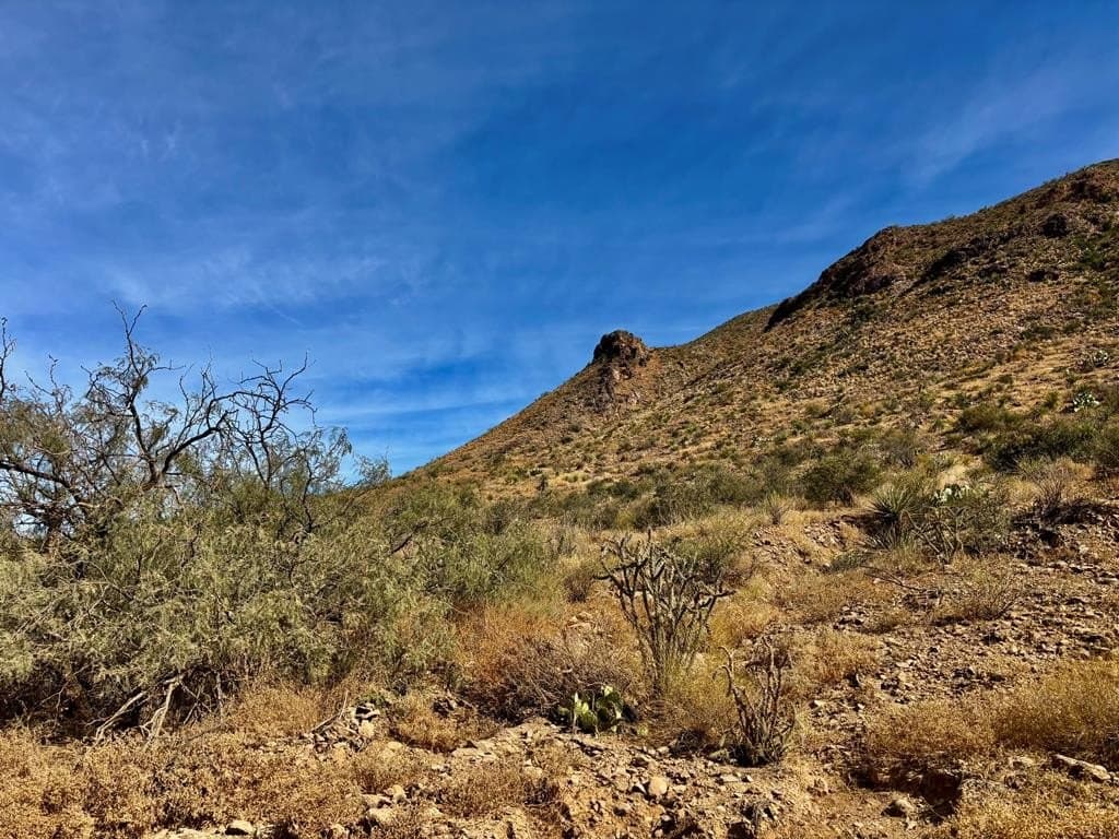67.5 acres in Brewster County - photo 18