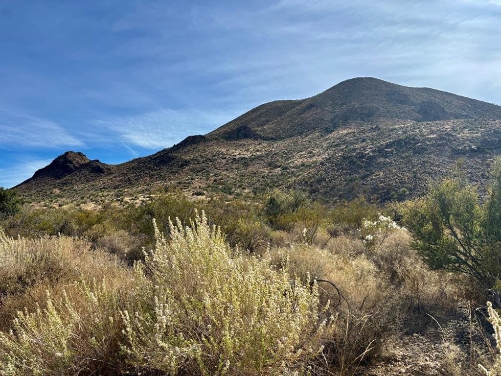 67.5 acres in Brewster County gallery image 2