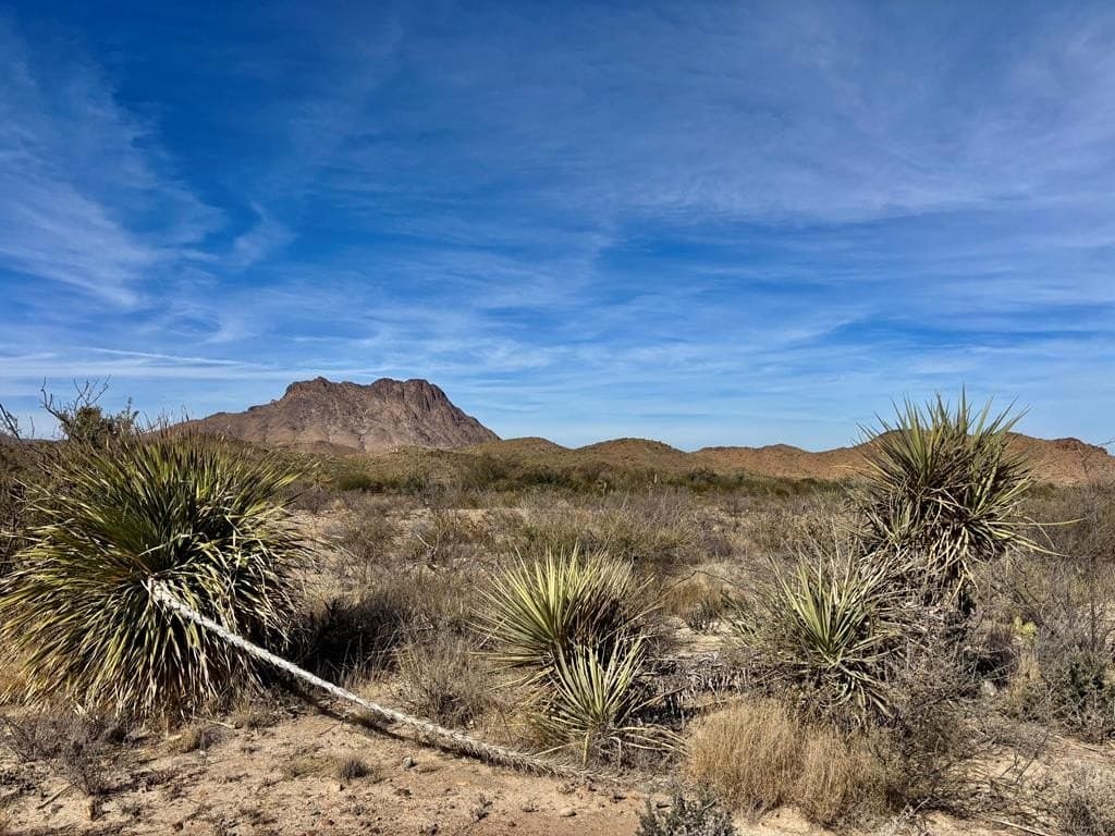 67.5 acres in Brewster County - photo 21
