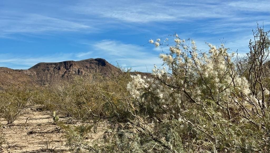 67.5 acres in Brewster County gallery image 3