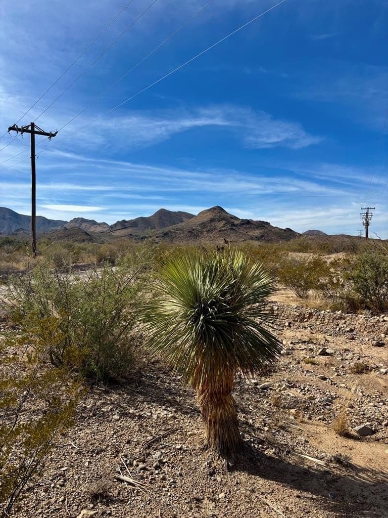 67.5 acres in Brewster County gallery image 4