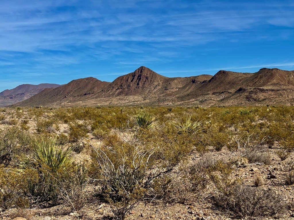 67.5 acres in Brewster County featured view